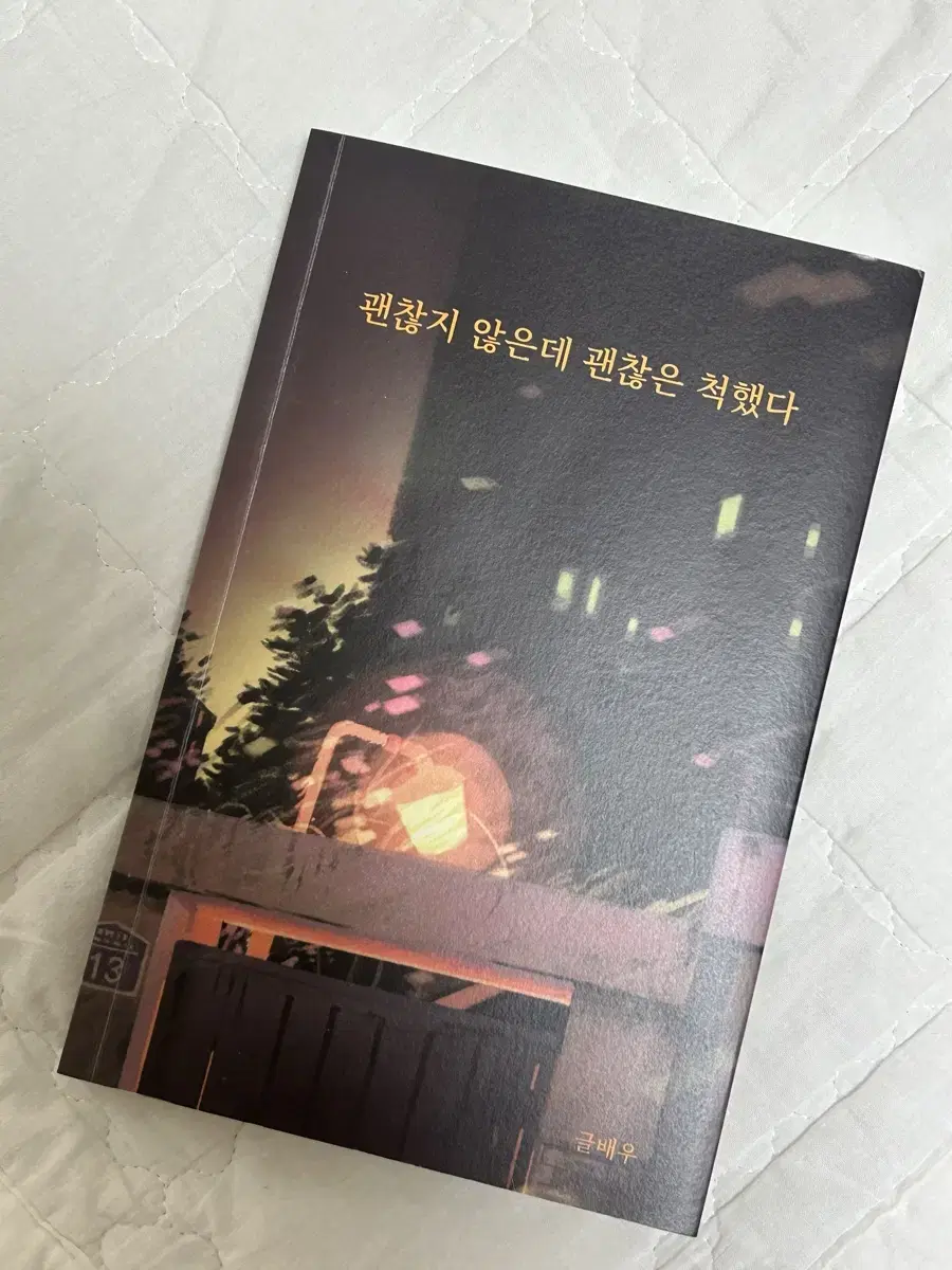 괜찮지 않은데 괜찮은 척했다(시/에세이)